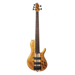 Cort Artisan A5-AOP Electric Bass