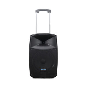 Baretone MAX12HB Speaker Portable