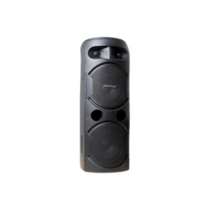 Baretone PM206 Speaker Portable