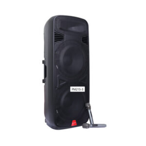 Baretone PM215 Speaker Portable