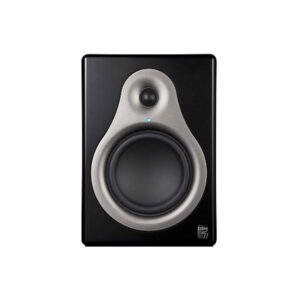 M-Audio DSM-1 Monitor Speaker