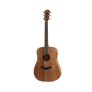 Taylor Academy 20e Dreadnought Acoustic Guitar w/Walnut Top & Bag