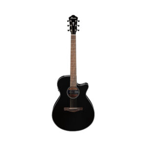 Ibanez AEG50-BK Acoustic Guitar, Black High Gloss