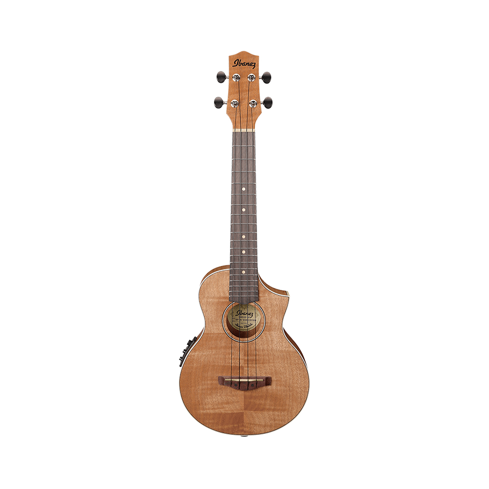 Ibanez ukelele online