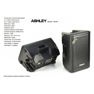 Ashley DB10P 10inch Pasif Speaker