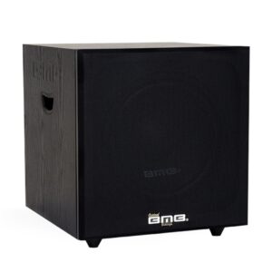 BMB SW 112 SE Subwoofer Speaker 12inch
